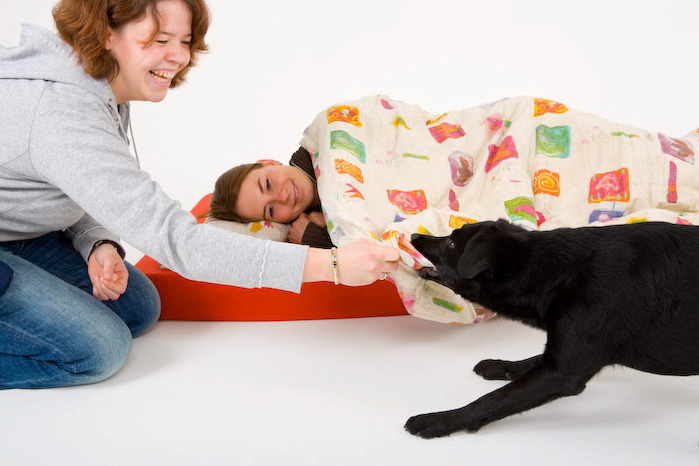 Trickschule für Hunde II
